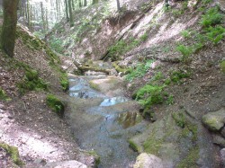 Das Heilbachtal.jpg